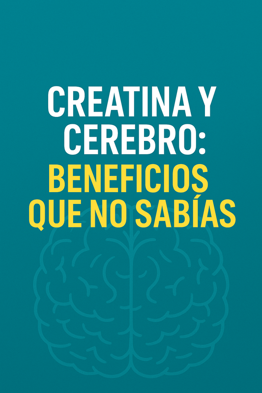Creatina y cerebro: beneficios que no sabías